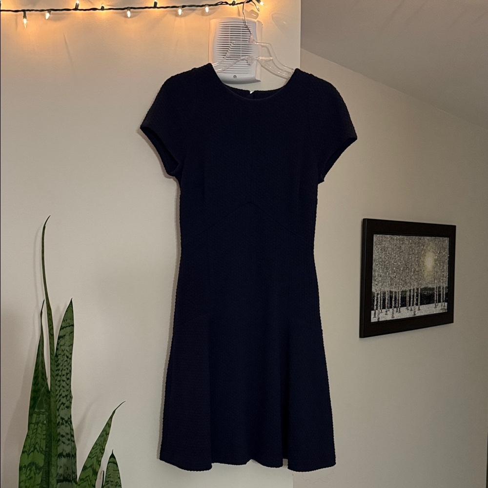 Banana Republic Navy Mini Dress